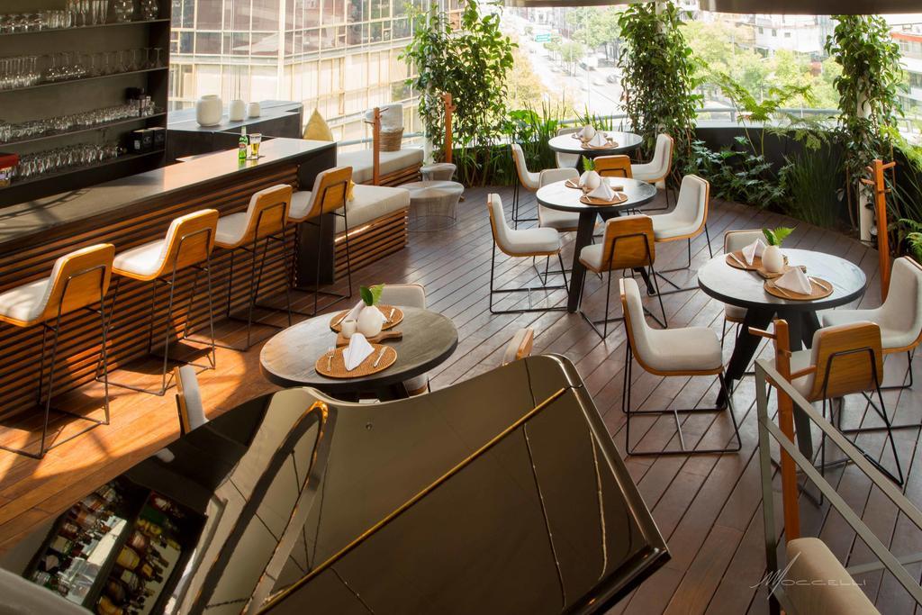 Suites Contempo Mexiko-Stadt Exterior foto The bar at the 10th floor